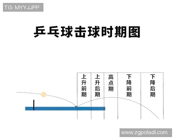 北京乒乓球队在冠军赛中的节奏掌控与表现分析